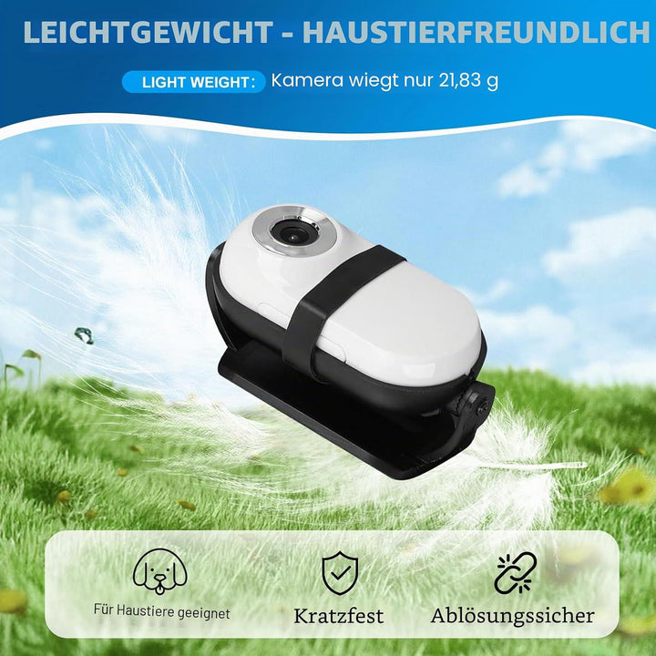 1080P Katzen-Kamera-Halsband – kabellose Mini-Sportkamera mit Videoaufnahme, kleine Action-Kamera fü