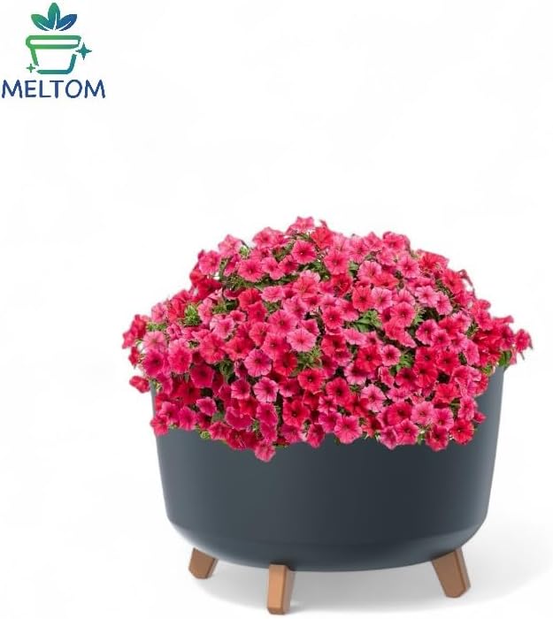 MELTOM Blumentopf Schale mit Füssen Einsatz Blumenschale Kräutertopf Übertopf, 39 cm x 27 cm (Anthra