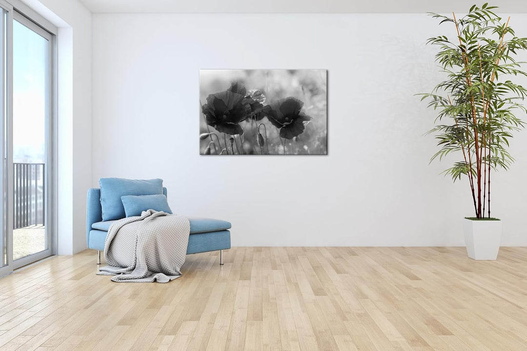 deyoli bezaubernde Mohnblumen Format: 80x60 Effekt: Schwarz&amp;Weiss als Leinwandbild, Motiv fertig ger