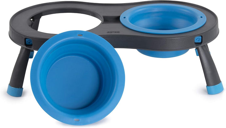 Dexas Pets PW1104322194 Doppelerhöhter Futterspender für 2,5 Tassen, Blau Large/2.5 Cup Capacity Bow