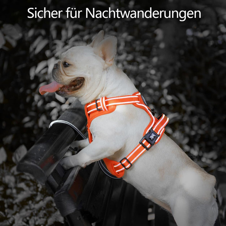 PoyPet Keine Pull Hundegeschirr, Reflektierendes Hundegeschirr für Hunde ohne Choke, Verstellbare, w