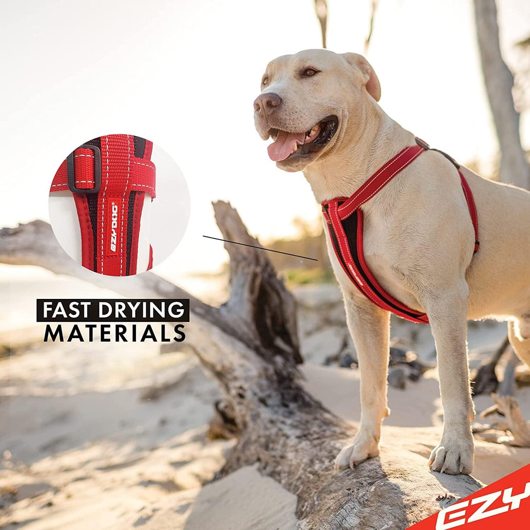 EZYDOG Hundegeschirr Classic Chest Plate | Hundegeschirr Kleine Hunde, K9 Hundegeschirr, Hundegeschi