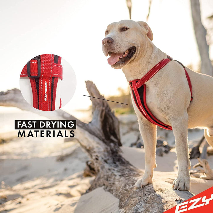 EZYDOG Hundegeschirr Classic Chest Plate | Hundegeschirr Kleine Hunde, K9 Hundegeschirr, Hundegeschi