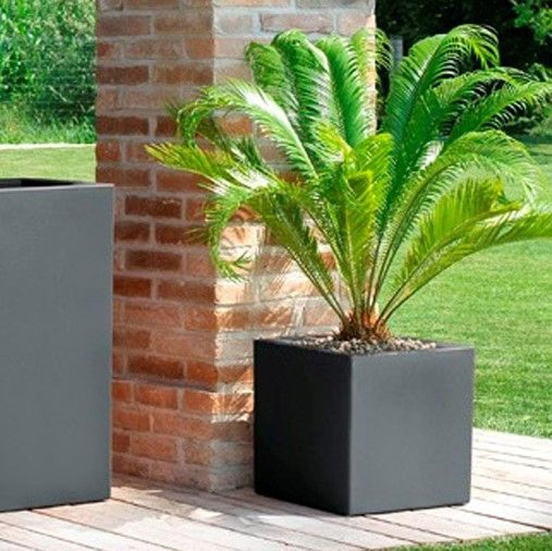 TERAPLAST Blumentopf Schio Cubo 40 cm Made in Italy recyclebar 40 cm Cappuccino, 40 cm Cappuccino