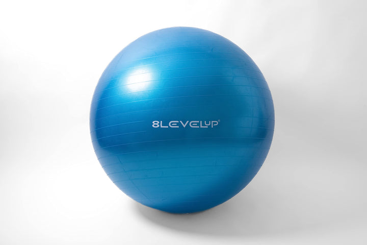 8LevelUp Megaball - 1m grosser Ball für Pferdetraining