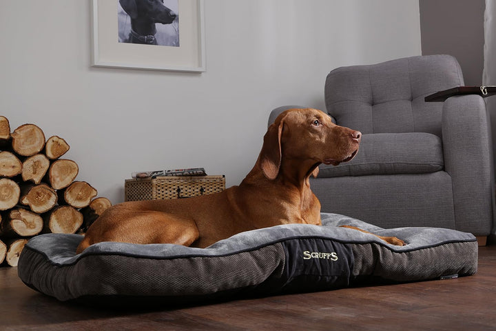 Scruffs 1160 Chester Hunde Kissen, M, grau Grau M 82 x 58 x 6 cm, Grau M 82 x 58 x 6 cm