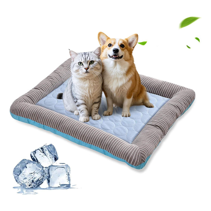 PETCUTE Hundebett Katzenbett Katzen Tiere Hundedecke Hundekorb,Hundebett Grosse Mittlere Kleine Hund