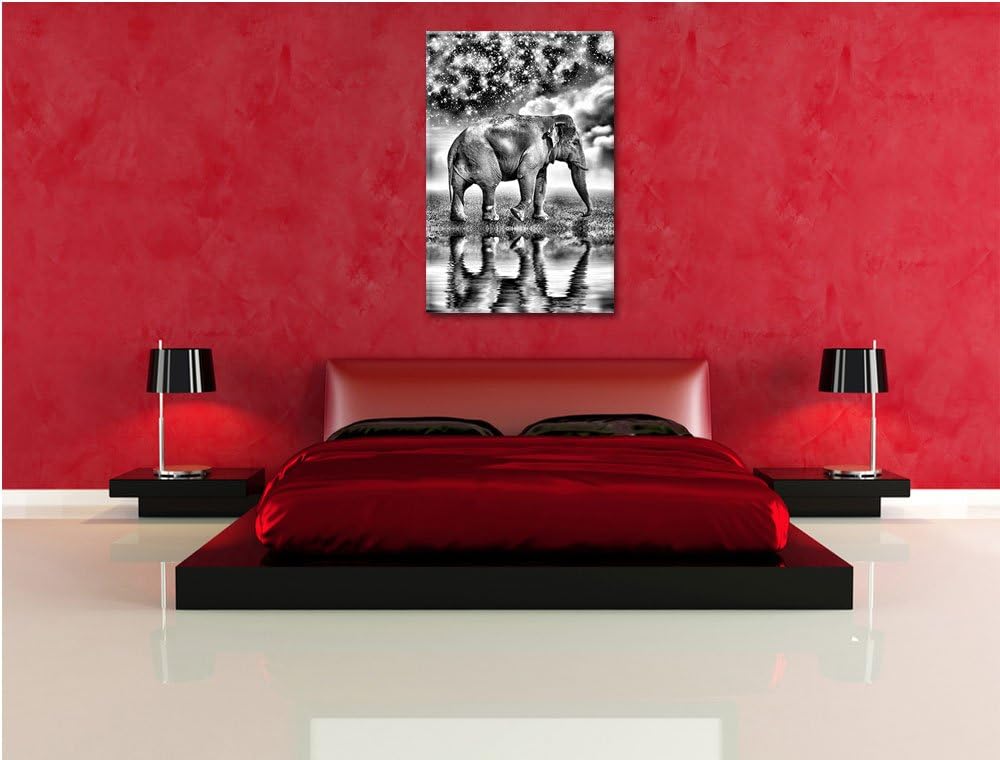 Pixxprint Monocrome, Elefant mit Sternenhimmel, Format: 100x70 auf Leinwand, 100x70