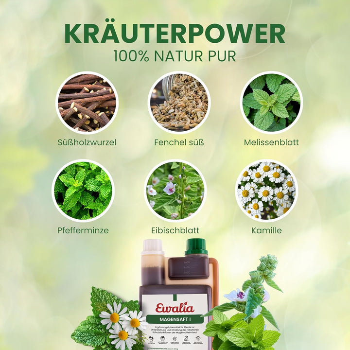 Ewalia Magensaft I für Pferde- Doppelpack - 2 x 1 L 2er Pack, 2er Pack