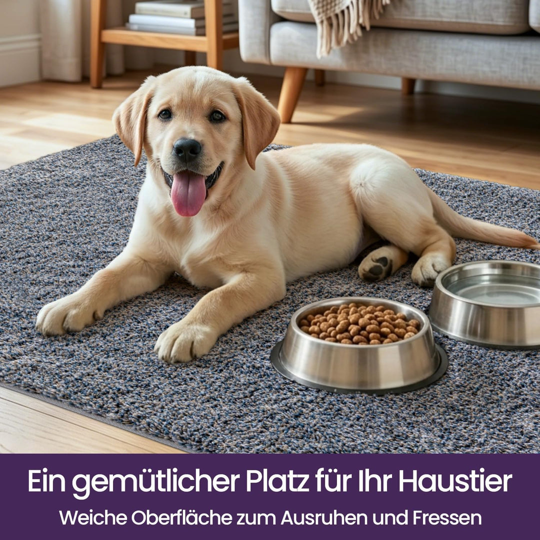 DEXI Fussmatte Innen 80 x 120 cm, rutschfest, Grau-blau 80 x 120 cm (Rechteckig) Grau-blau, 80 x 120