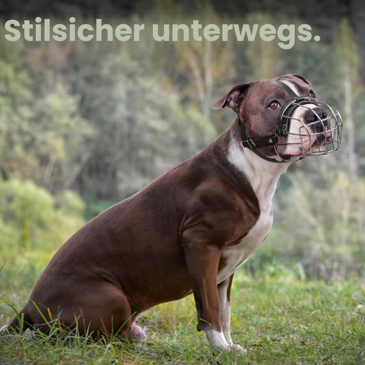BRONZEDOG Pitbull Maulkorb für Hunde, atmungsaktiv, Metallkorb für grosse Hunde, Amstaff Staffordshi