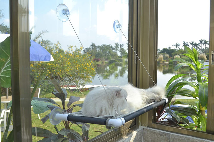 Katzen-Hängematte mit Saugnapf für Fenster, Sonnensitz, sehr stark, schwarz Gross schwarz, Gro&amp;