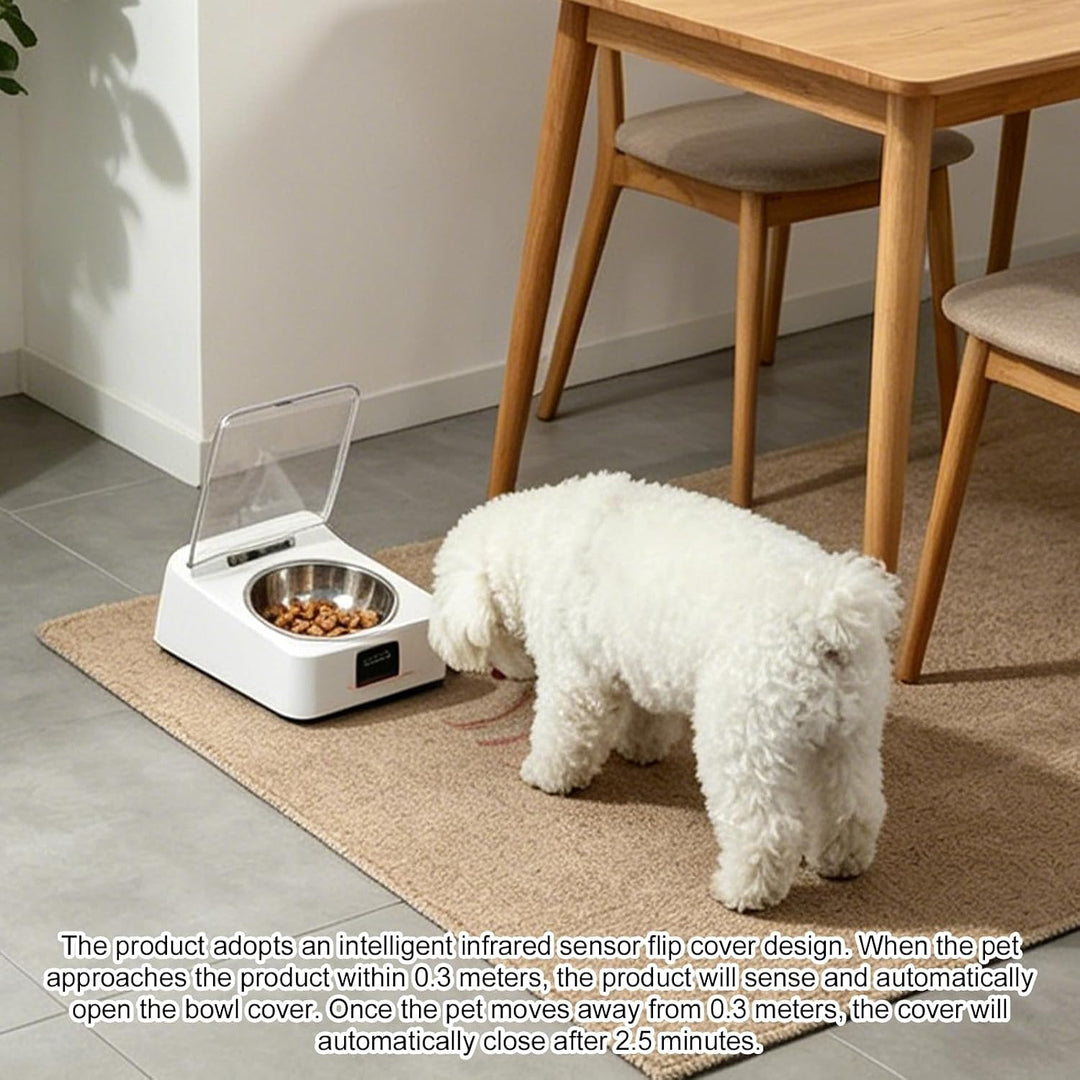 Futterautomat Katze Nassfutterautomat für Katzen, 350 ml Katzenfutter Automat Infrarot Sensor Automa