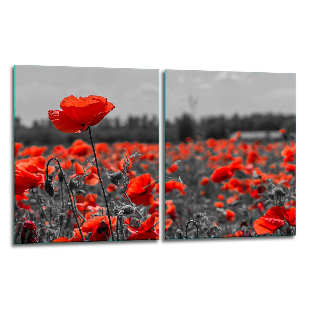 TMK | Herdabdeckplatten Set 2x40x52 cm Ceranfeld Abdeckung Glas Spritzschutz Abdeckplatte Glasplatte