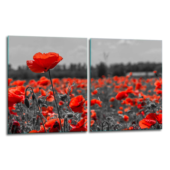 TMK | Herdabdeckplatten Set 2x40x52 cm Ceranfeld Abdeckung Glas Spritzschutz Abdeckplatte Glasplatte