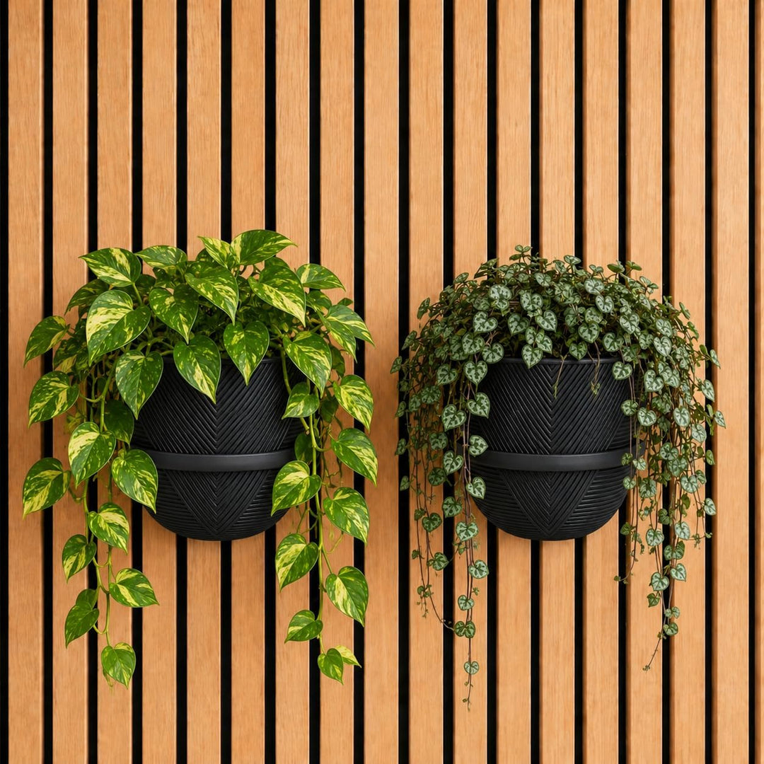 Pflanzenhalter für Akustikpaneele mit Blumentopf – 2er-Set (2 Ringe + 2 Töpfe) – Ohne Bohren oder mi
