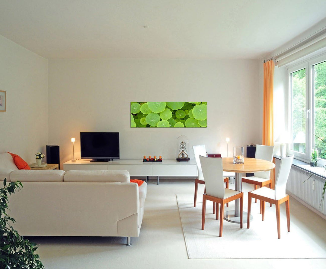 Augenblicke Wandbilder Leinwandbild als Panorama in 150x50cm Pflanzen Blätter rund grün Hintergrund