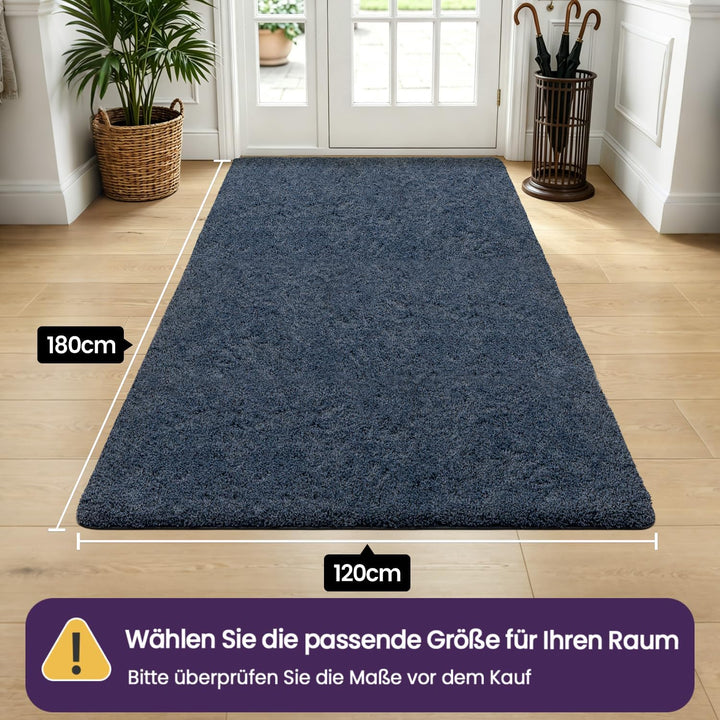 DEXI Fussmatte Innen 120 x 180 cm, rutschfeste Schmutzfangmatte, Maschinenwaschbare Fussmatte, Saugs
