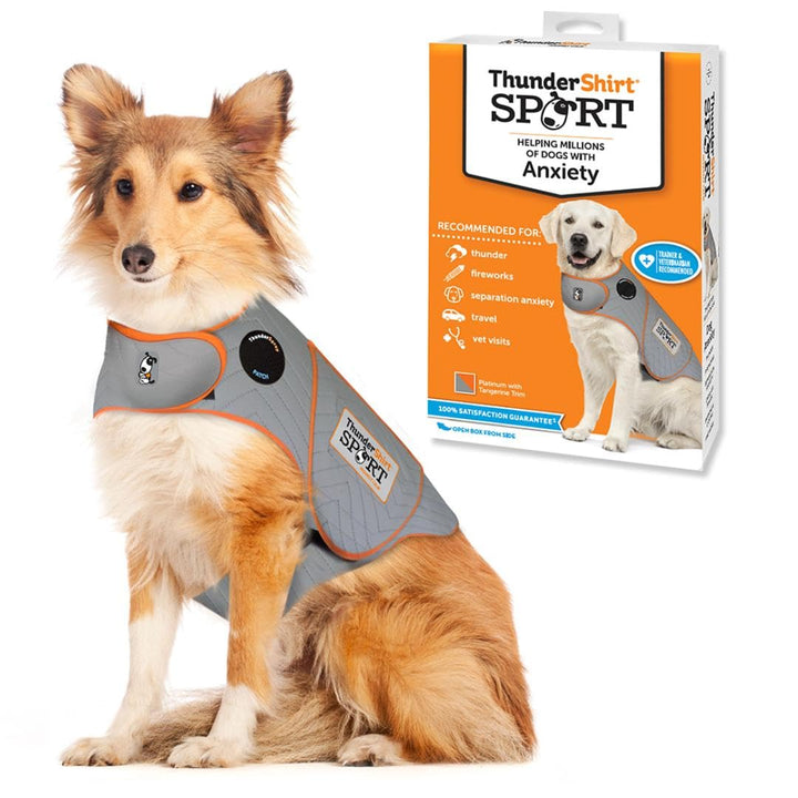 Thundershirt Hundebekleidung Thundershirt Hunde-Angstjacke, Platin, Grösse L Platin Large, Platin La