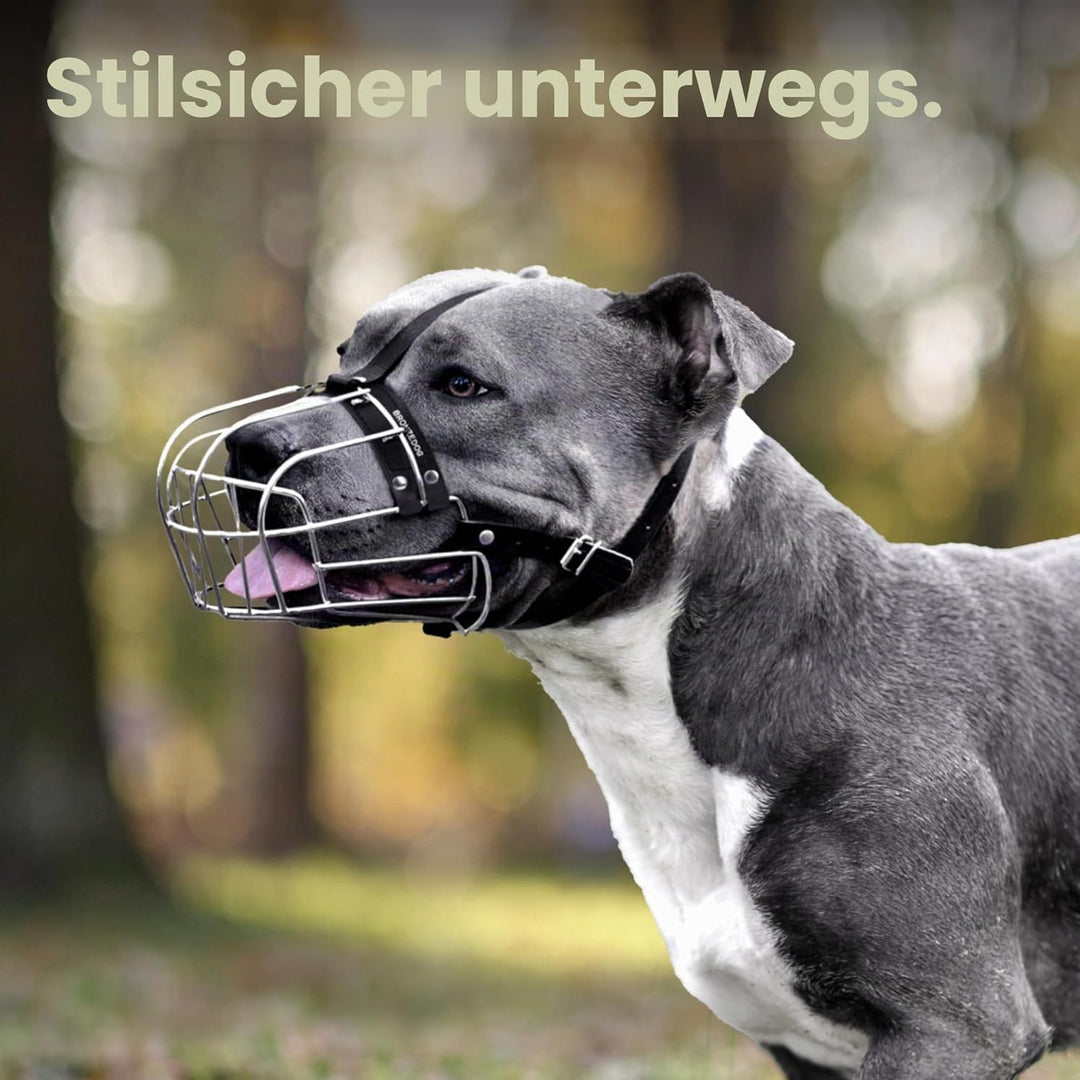 BronzeDog Hundemaulkorb Pitbull Metallmaske Amstaff Drahtkorb Pit Bull verstellbare Lederbänder für