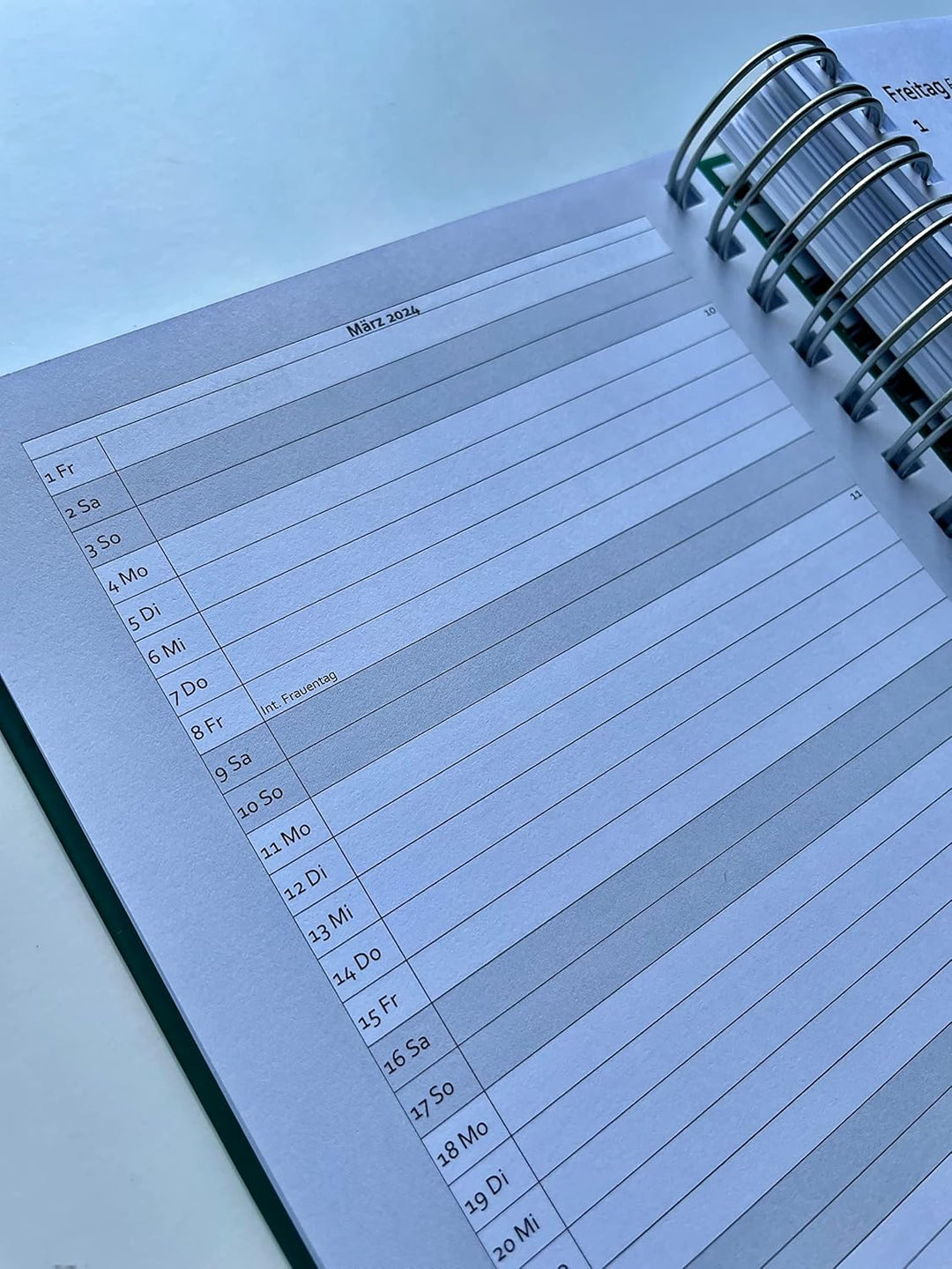 Der KLEINE DICKE - DIN A5 Kalender 2025-400 Seiten - jeder Tag 1 volle Seite Platz (Moosgrün), Moss