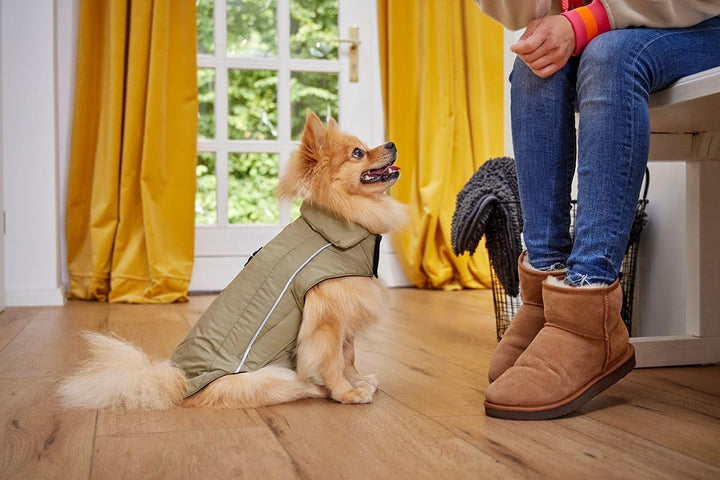 Wolters Skijacke Dogz Wear, Grösse:56 cm, Farbe:khakigrün 56 cm khakigrün, 56 cm khakigrün