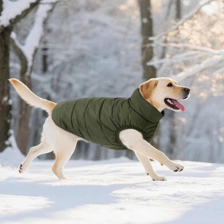 ASENKU Hundemantel für Kleine Hunde,Winddichte Hundejacke Winter wasserdichte Hundemantel mit Geschi