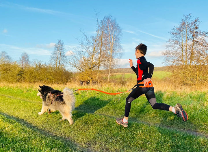 i-Dog CANICROSS One Light, ideal für leichte Schablonen und Kinder, Farbe Orange, Einheitsgrösse
