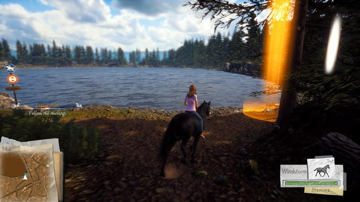 Windstorm: Start einer grossen Freundschaft PlayStation 4, PlayStation 4