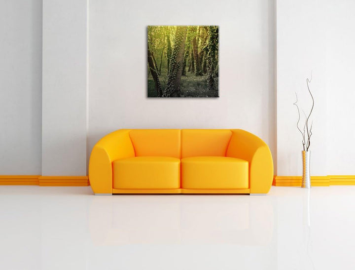 Pixxprint Efeuranken wachsen an Bäumen schwarz/weiss, Format: 70x70 auf Leinwand, 70x70