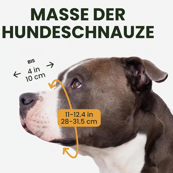 BronzeDog Maulkorb für Hunde aus Metall – Amstaff Drahtkorb mit verstellbaren Lederriemen für grosse
