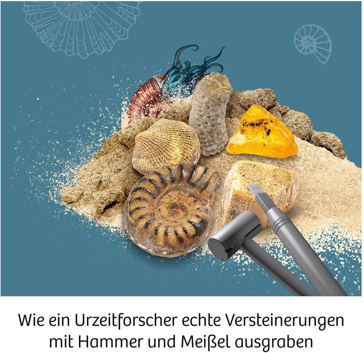 KOSMOS 617226 Fossilien Ausgrabungs-Set, Grabe echte Versteinerungen und Bernstein selbst aus, mit H