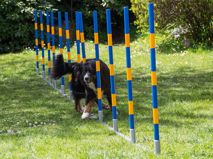 PROCYON Hunde Agility Profi-Slalom Set Doggy