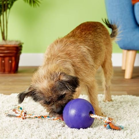 Jolly Pets (2 Pack) Romp-n-Roll 4.5 inch Purple | Rubber Ball with Rope for Dogs, One Size Purpur
