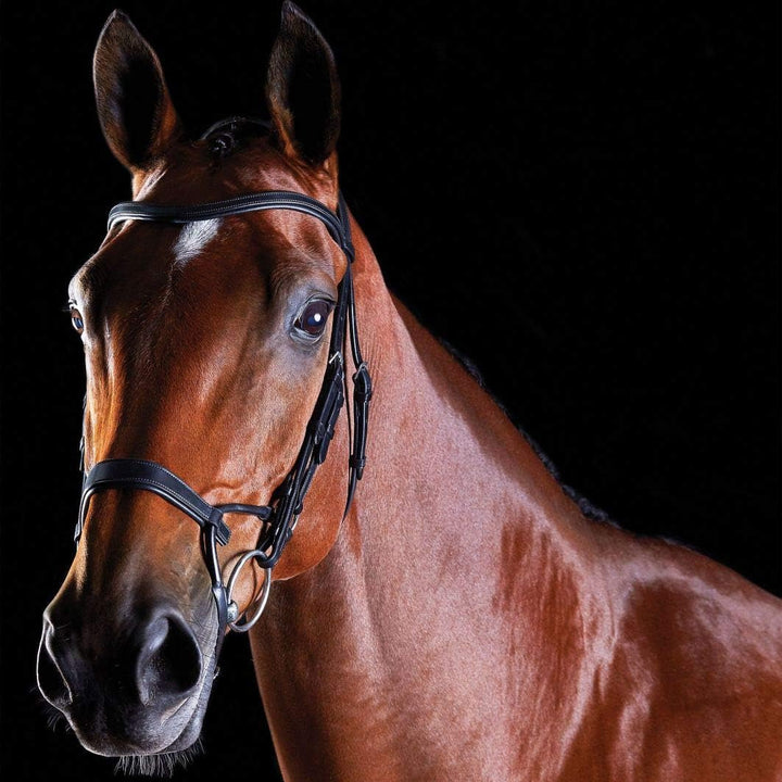 Collegiate ComFiTec Training Snaffle Bridle Full Size Schwarz, Full Size Schwarz