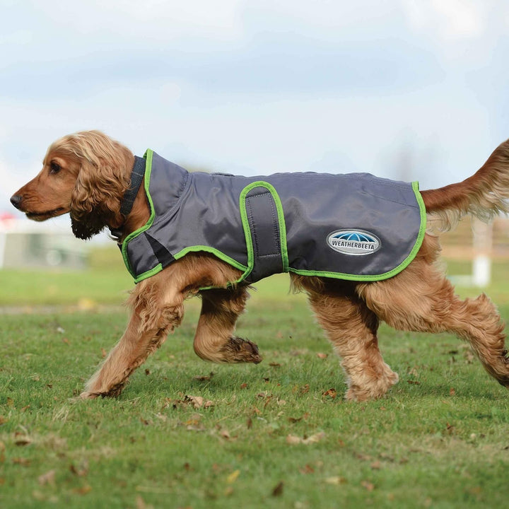 Weatherbeeta 2022 Comfitec Windbreaker Free Deluxe Hundemantel 1003914 - Dunkelblau/Grau/Weiss - 25