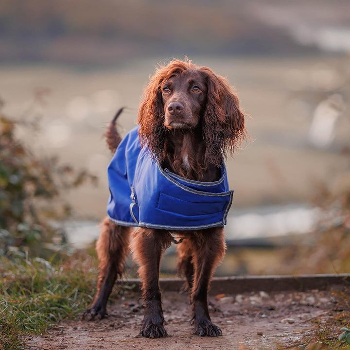 Weatherbeeta Comfitec Windjacke Frei Hundemantel - Dunkelblau/Weiss/Grau - 25cm, 25cm