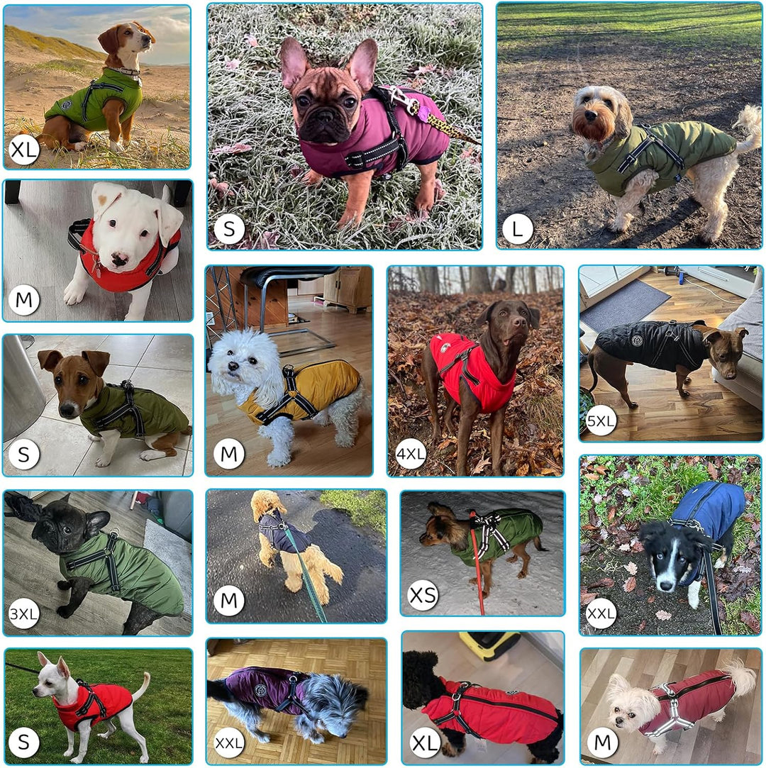 Savlot Hundejacke Winterweste Jacken Hundemantel Hundepullover Haustier Skifahren Kostüm Ärmellose B