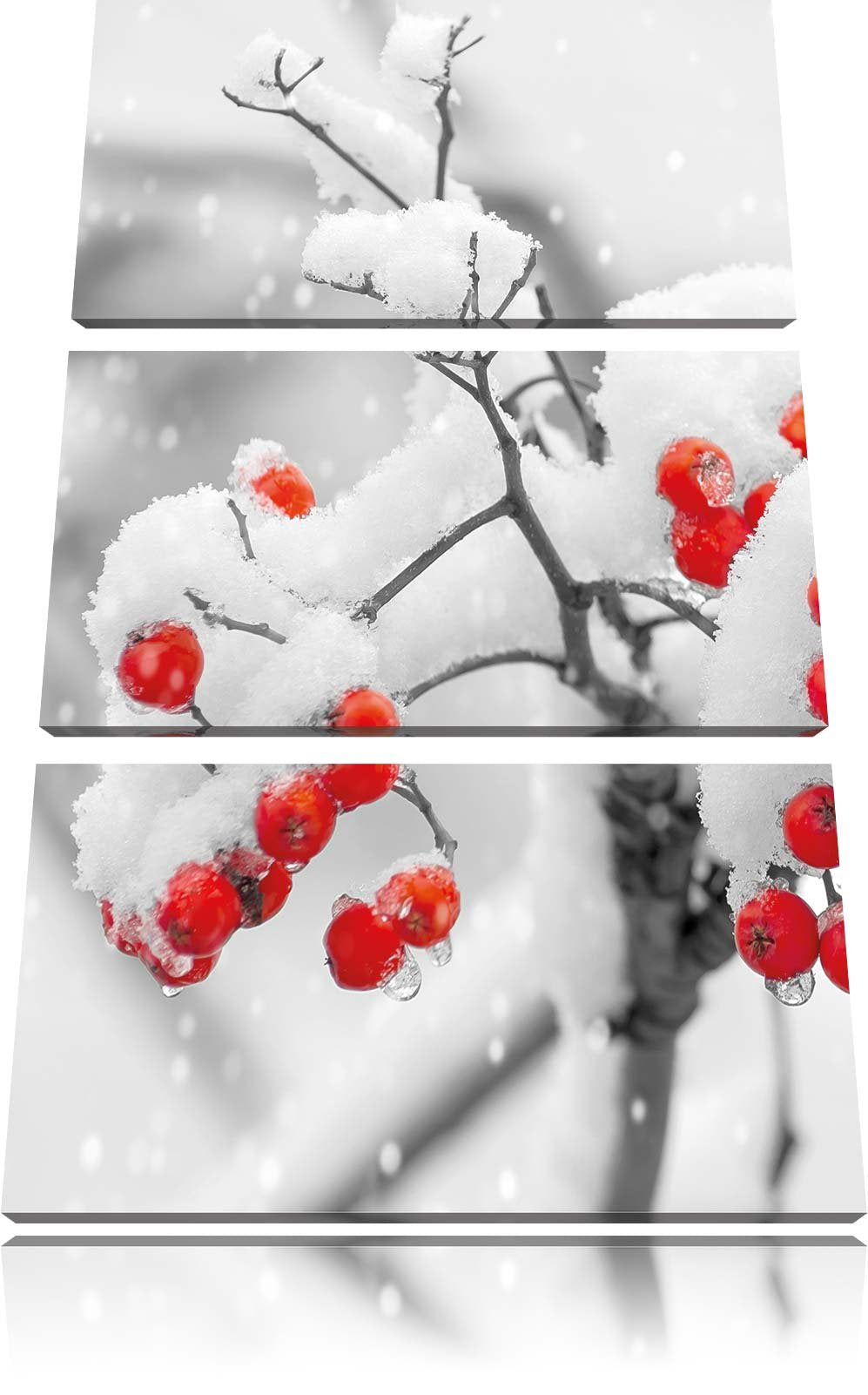 Pixxprint Rote Vogelbeeren im Winter 3-Teiler Leinwandbild 120x80 Bild auf Leinwand