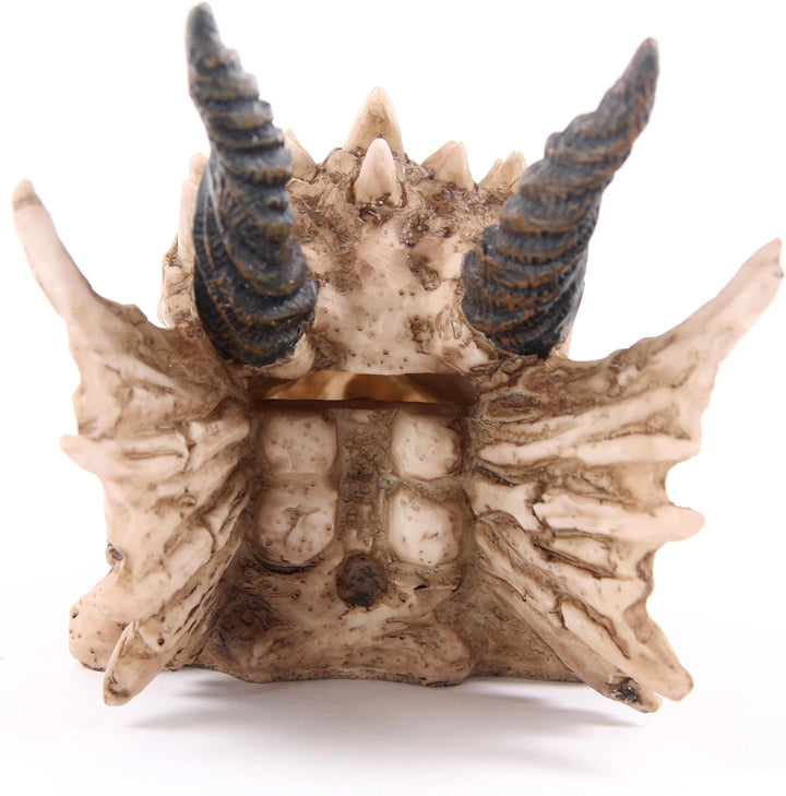 Puckator DRG186 Spardose Drachenschädel 19 x 11 x 11 cm, Gemischt, L
