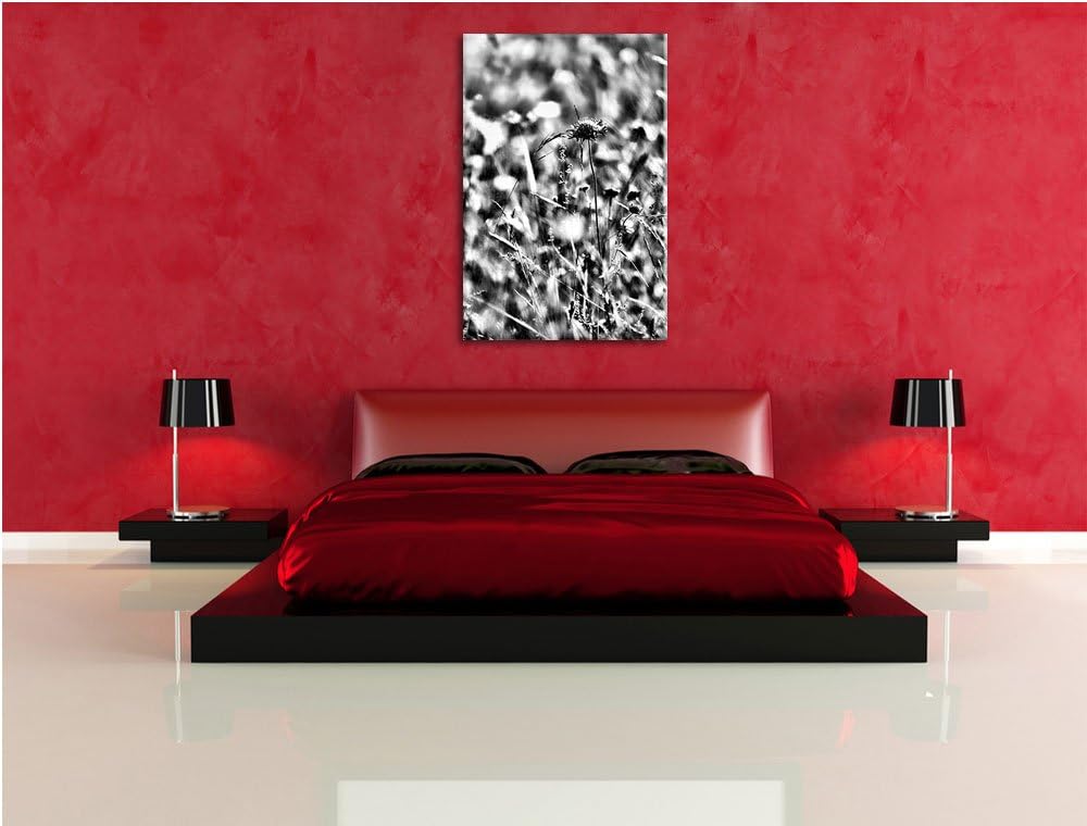 Pixxprint Bunte Gräser, Pflanzen, Natur / 100x70cm Leinwandbild bespannt auf Holzrahmen/Wandbild Kun