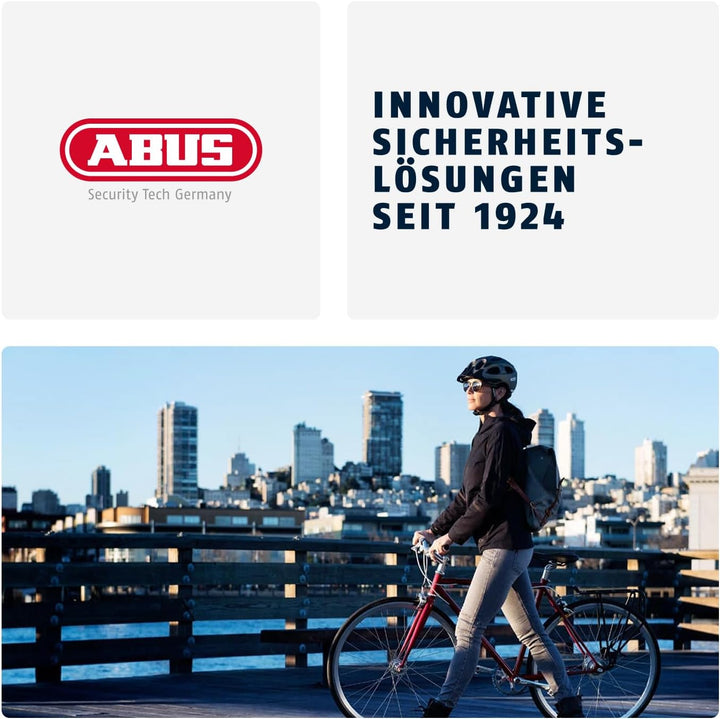 ABUS Rahmenschloss-Einsteckkette ADAPTOR CHAIN Classic 5.5KS - 5,5 mm starke Stahlkette mit ovalem L