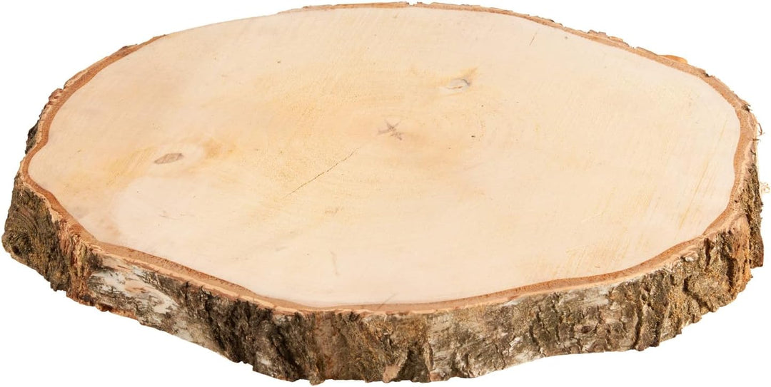 Grosse Holzscheibe in 40 cm (38-44cm) Durchmesser für DIY Basteln und Dekorieren - 1 Stück runde Bir