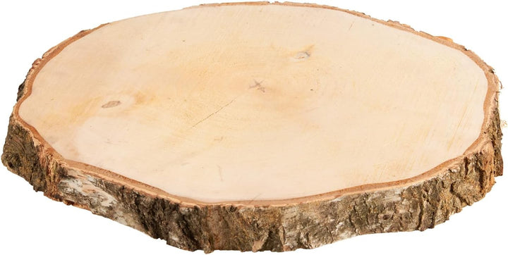 Grosse Holzscheibe in 40 cm (38-44cm) Durchmesser für DIY Basteln und Dekorieren - 1 Stück runde Bir