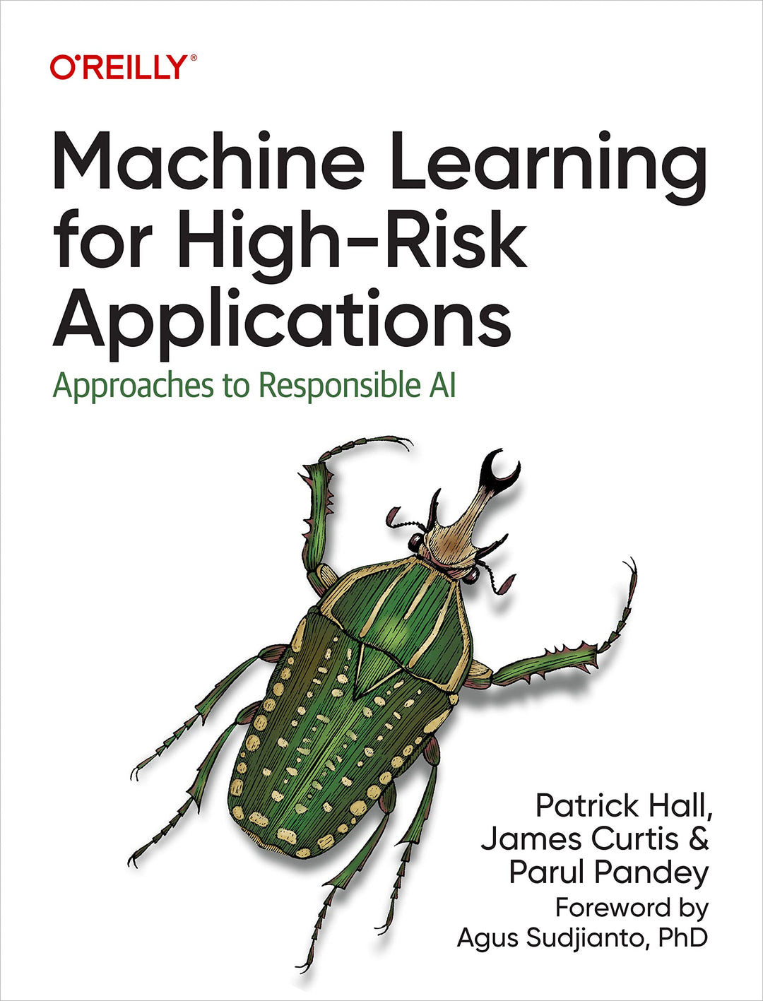 Machine Learning for High-Risk Applications: Approaches to Responsible AI, Taschenbuch