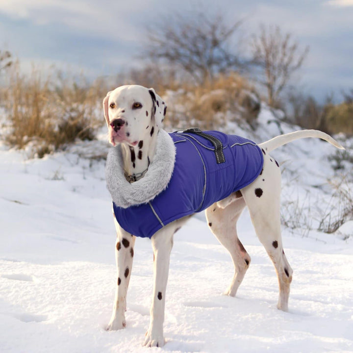 Lelepet Hundemantel Winterweste Reflektierende Fleece Hundejacke für Extra Grosse Hunde Wasserdicht