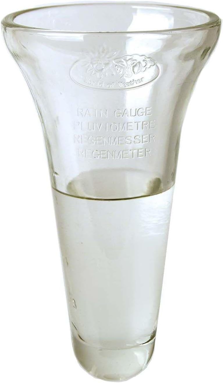 Esschert Design Regenmesser, Niederschlagsmesser, Glaseinsatz inkl. Halterung aus Zink, ca. 12 cm x