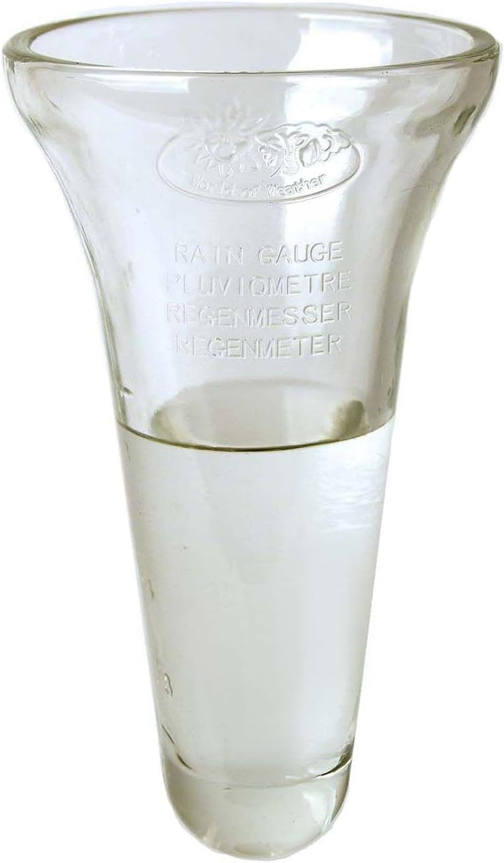 Esschert Design Regenmesser, Niederschlagsmesser, Glaseinsatz inkl. Halterung aus Zink, ca. 12 cm x