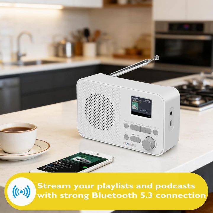 LEMEGA DAB GO Plus Radio (Steingrau, DAB GO) Steingrau DAB GO, Steingrau DAB GO