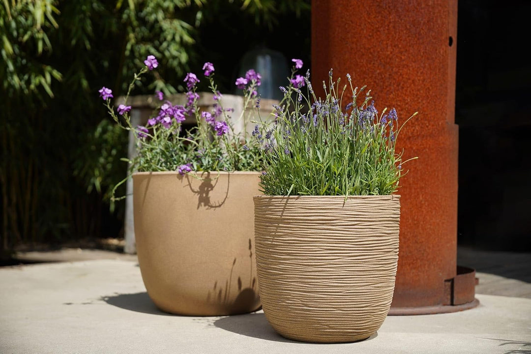 Capi Europe - Blumentopf Kugel Rib NL - 35x34 - Schwarz - Öffnung Ø29 - Blumentopf für den Innen- un